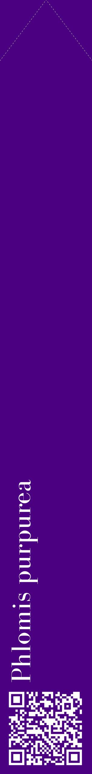 Étiquette de : Phlomis purpurea - format c - style blanche47_simplebod avec qrcode et comestibilité