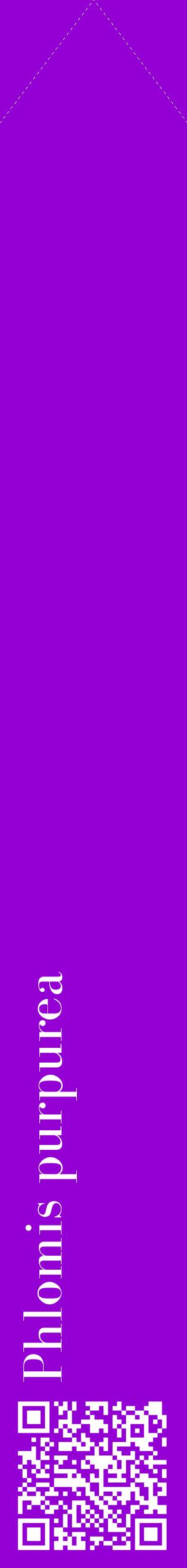 Étiquette de : Phlomis purpurea - format c - style blanche48_simplebod avec qrcode et comestibilité