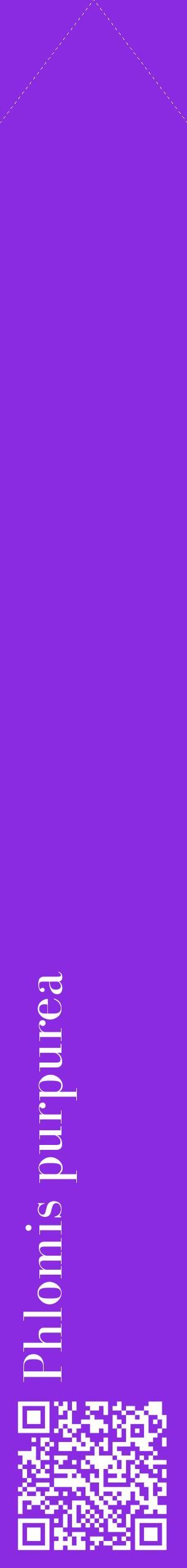 Étiquette de : Phlomis purpurea - format c - style blanche49_simplebod avec qrcode et comestibilité