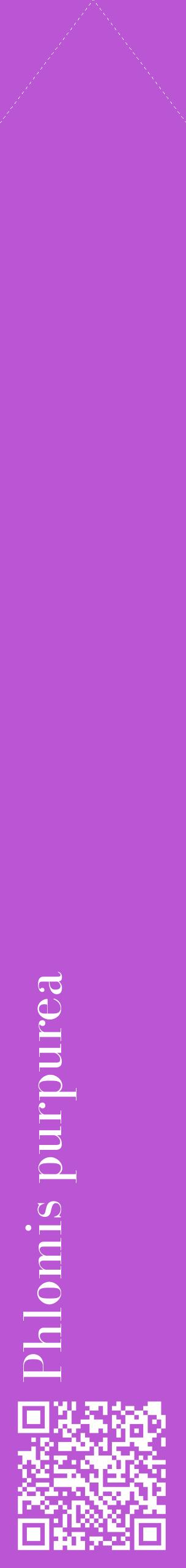 Étiquette de : Phlomis purpurea - format c - style blanche50_simplebod avec qrcode et comestibilité