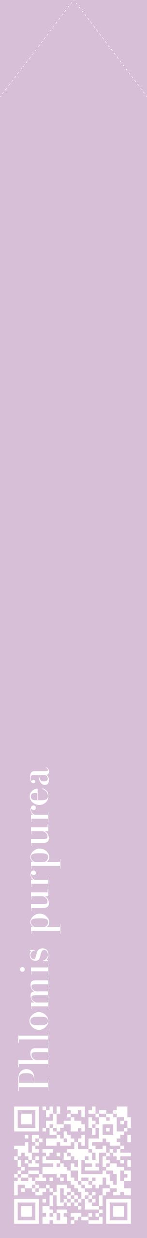 Étiquette de : Phlomis purpurea - format c - style blanche54_simplebod avec qrcode et comestibilité