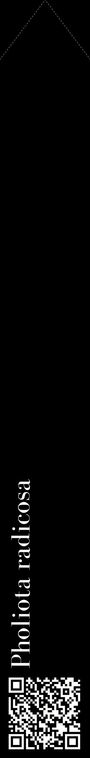 Étiquette de : Pholiota radicosa - format c - style blanche59_simplebod avec qrcode et comestibilité
