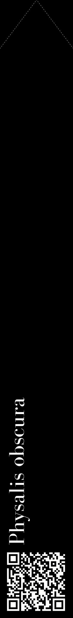 Étiquette de : Physalis obscura - format c - style blanche59_simplebod avec qrcode et comestibilité