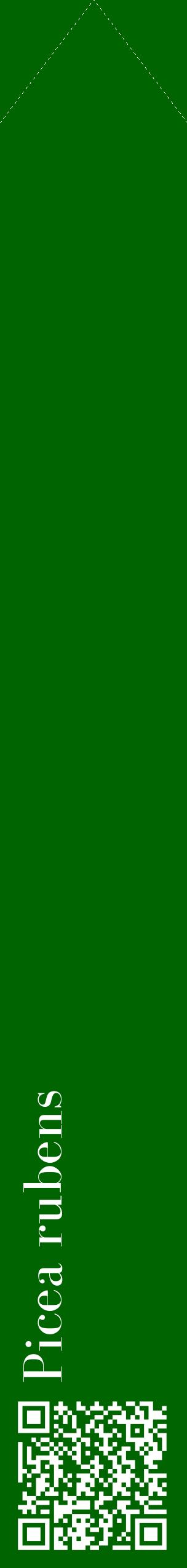 Étiquette de : Picea rubens - format c - style blanche8_simplebod avec qrcode et comestibilité