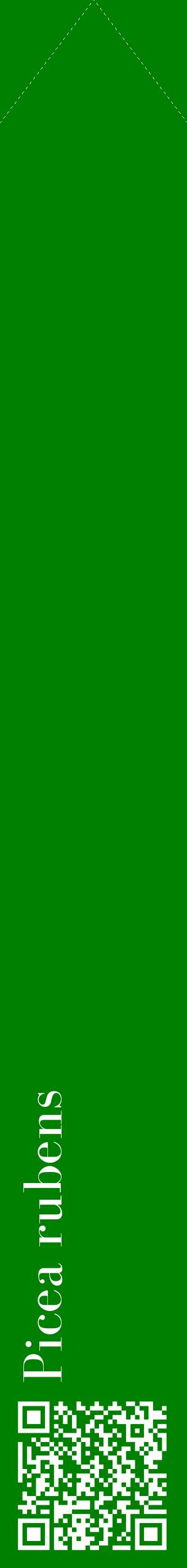 Étiquette de : Picea rubens - format c - style blanche9_simplebod avec qrcode et comestibilité
