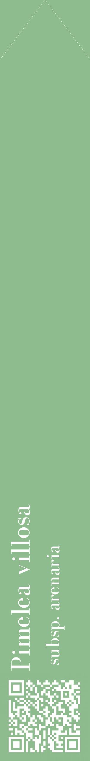 Étiquette de : Pimelea villosa subsp. arenaria - format c - style blanche13_simplebod avec qrcode et comestibilité
