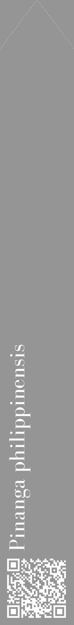 Étiquette de : Pinanga philippinensis - format c - style blanche16_simple_simplebod avec qrcode et comestibilité - position verticale
