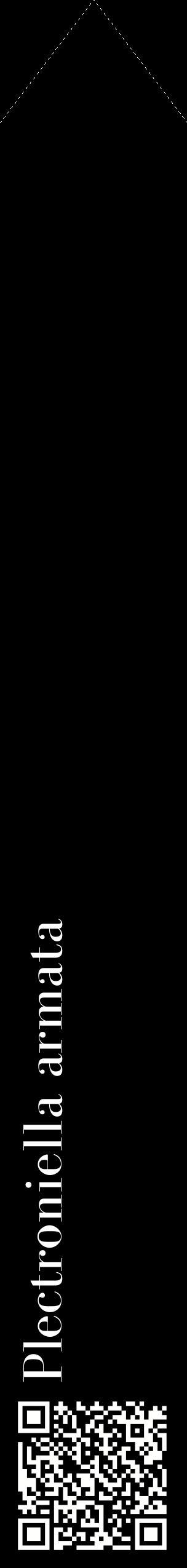Étiquette de : Plectroniella armata - format c - style blanche59_simplebod avec qrcode et comestibilité