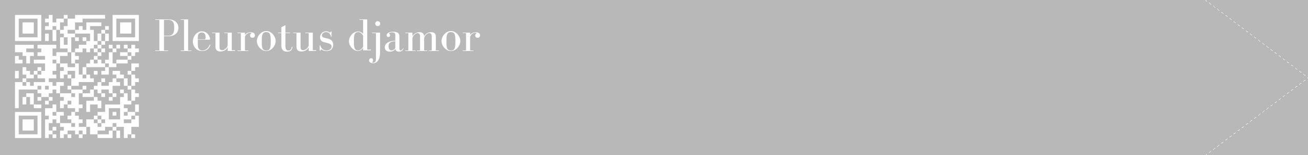 Étiquette de : Pleurotus djamor - format c - style blanche39_simple_simplebod avec qrcode et comestibilité