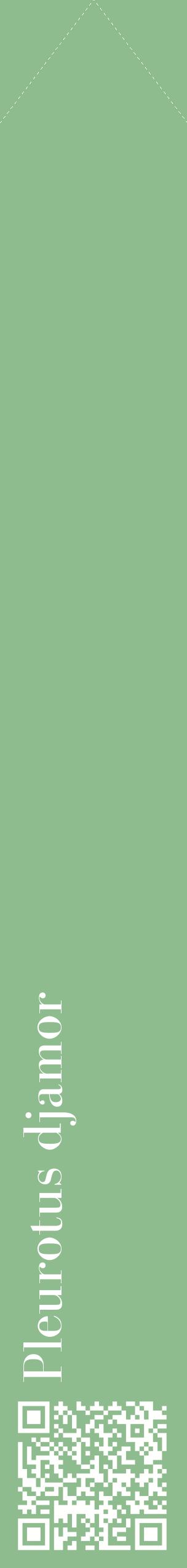 Étiquette de : Pleurotus djamor - format c - style blanche13_simplebod avec qrcode et comestibilité