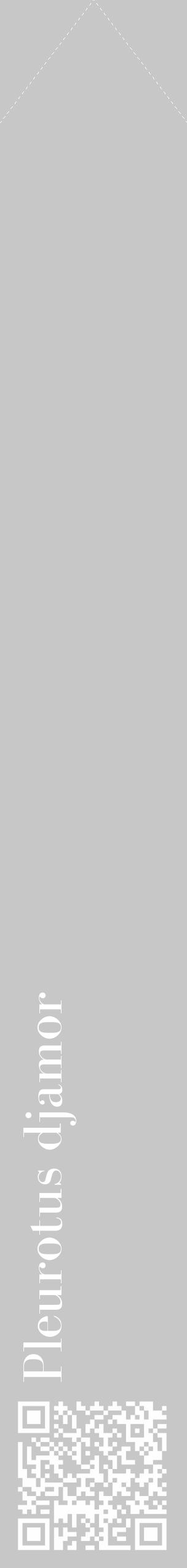 Étiquette de : Pleurotus djamor - format c - style blanche15_simple_simplebod avec qrcode et comestibilité - position verticale