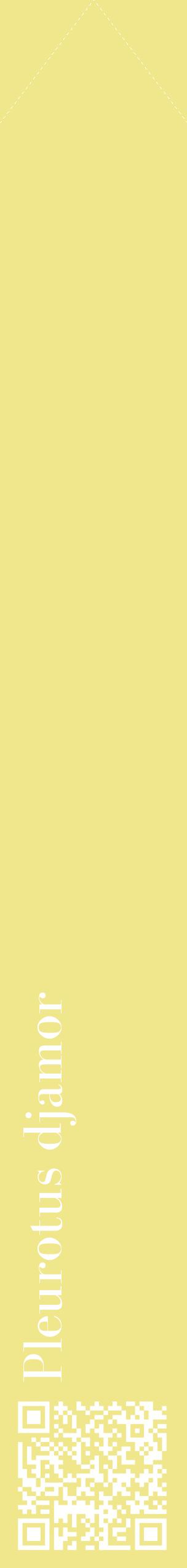 Étiquette de : Pleurotus djamor - format c - style blanche20_simplebod avec qrcode et comestibilité