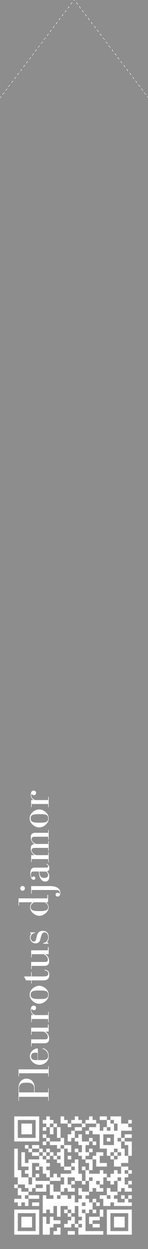 Étiquette de : Pleurotus djamor - format c - style blanche2_simple_simplebod avec qrcode et comestibilité - position verticale