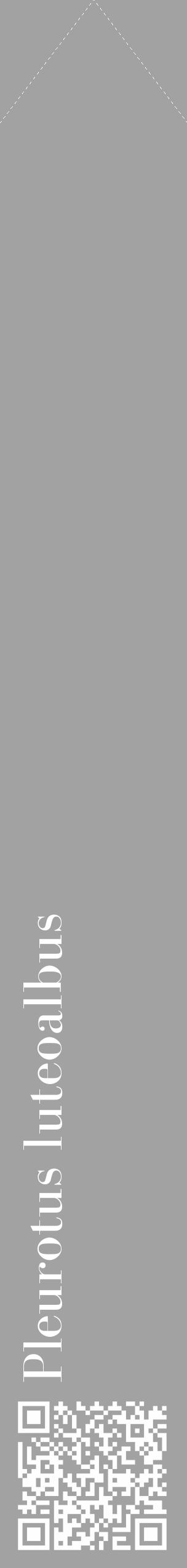 Étiquette de : Pleurotus luteoalbus - format c - style blanche38_simple_simplebod avec qrcode et comestibilité - position verticale