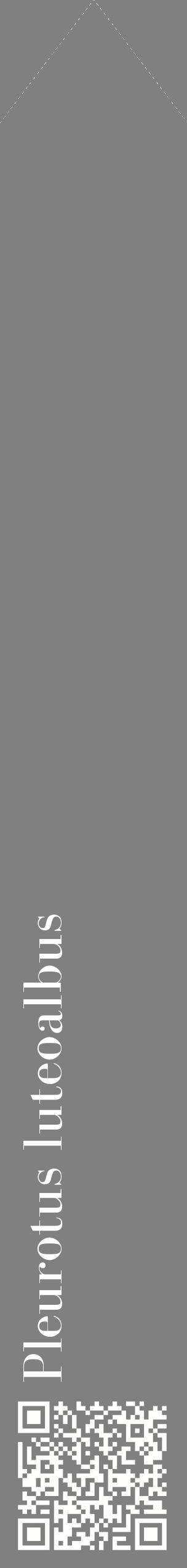 Étiquette de : Pleurotus luteoalbus - format c - style blanche57_simplebod avec qrcode et comestibilité