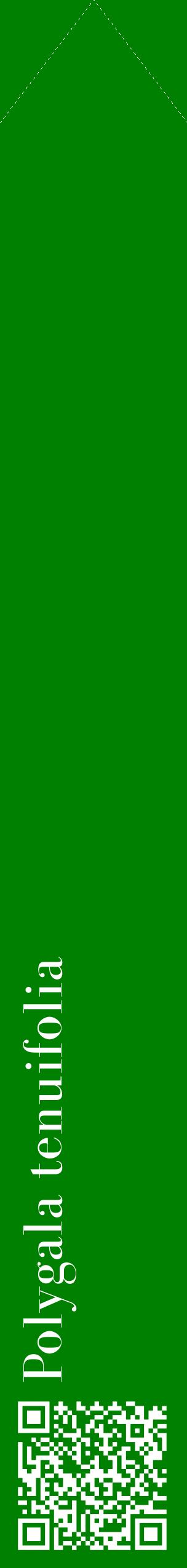 Étiquette de : Polygala tenuifolia - format c - style blanche9_simplebod avec qrcode et comestibilité