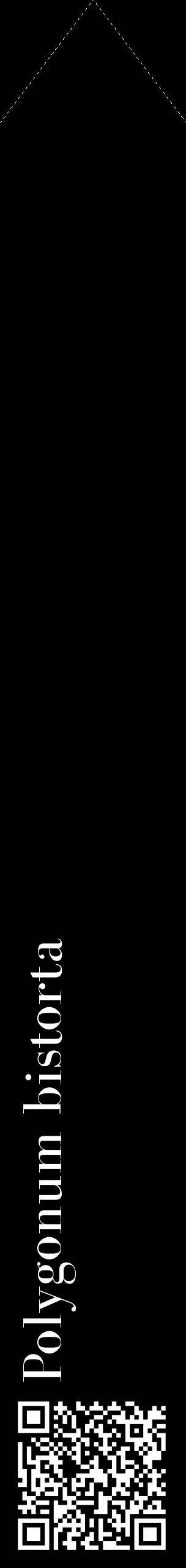 Étiquette de : Polygonum bistorta - format c - style blanche59_simple_simplebod avec qrcode et comestibilité - position verticale