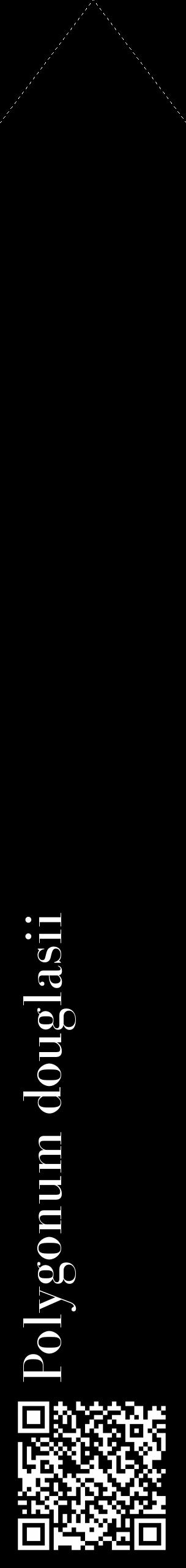 Étiquette de : Polygonum douglasii - format c - style blanche59_simple_simplebod avec qrcode et comestibilité - position verticale