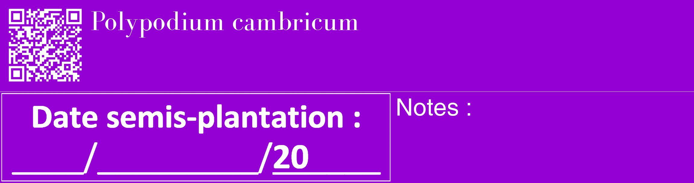 Étiquette de : Polypodium cambricum - format c - style blanche48_basique_basiquebod avec qrcode et comestibilité
