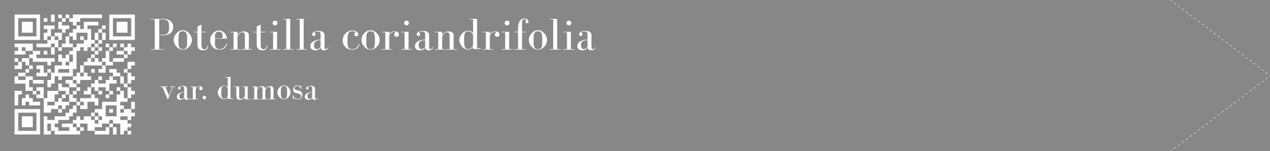 Étiquette de : Potentilla coriandrifolia var. dumosa - format c - style blanche12_simple_simplebod avec qrcode et comestibilité