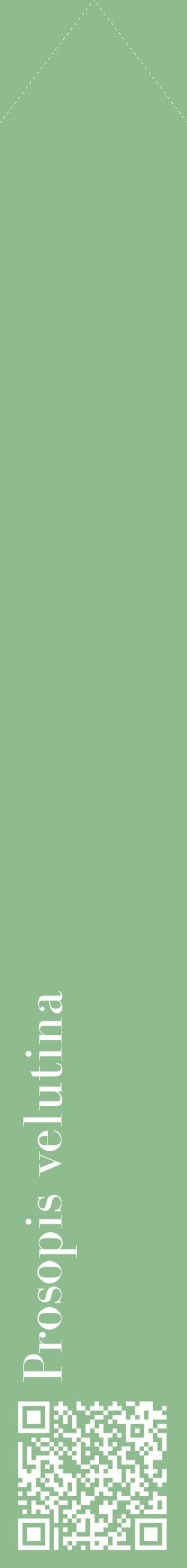 Étiquette de : Prosopis velutina - format c - style blanche13_simplebod avec qrcode et comestibilité