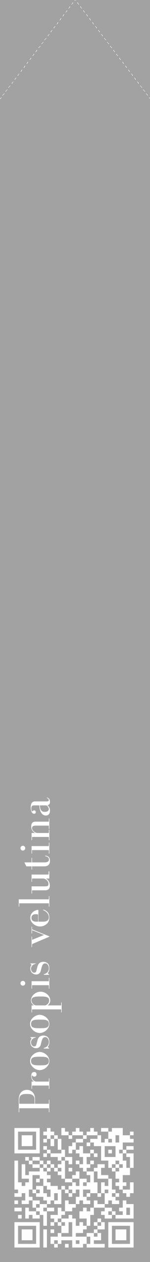 Étiquette de : Prosopis velutina - format c - style blanche38_simple_simplebod avec qrcode et comestibilité - position verticale