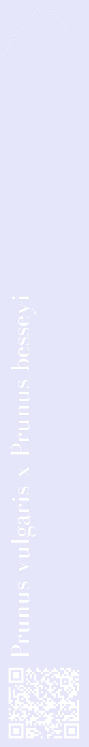 Étiquette de : Prunus vulgaris x Prunus besseyi - format c - style blanche55_simplebod avec qrcode et comestibilité
