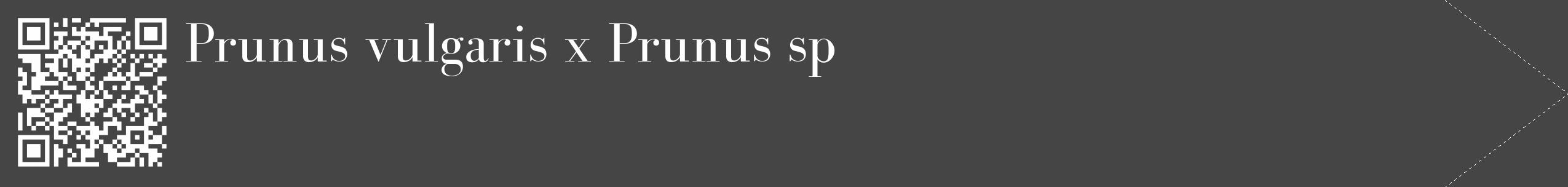 Étiquette de : Prunus vulgaris x Prunus sp - format c - style blanche58_simple_simplebod avec qrcode et comestibilité