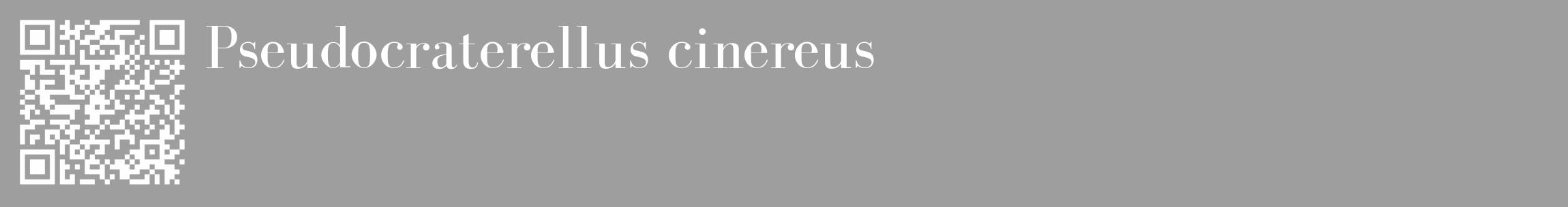 Étiquette de : Pseudocraterellus cinereus - format c - style blanche23_basique_basiquebod avec qrcode et comestibilité