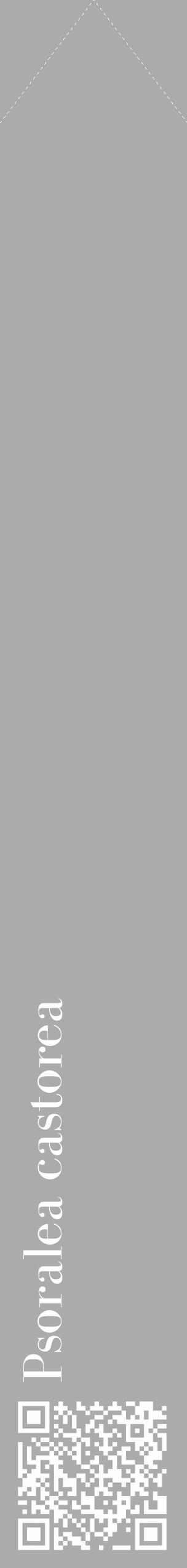 Étiquette de : Psoralea castorea - format c - style blanche37_simple_simplebod avec qrcode et comestibilité - position verticale