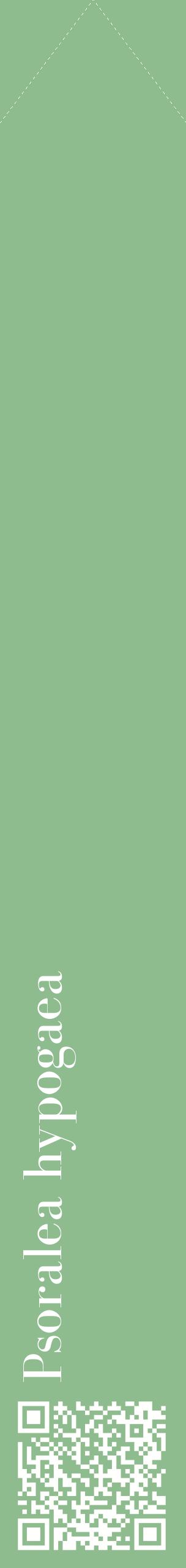 Étiquette de : Psoralea hypogaea - format c - style blanche13_simplebod avec qrcode et comestibilité