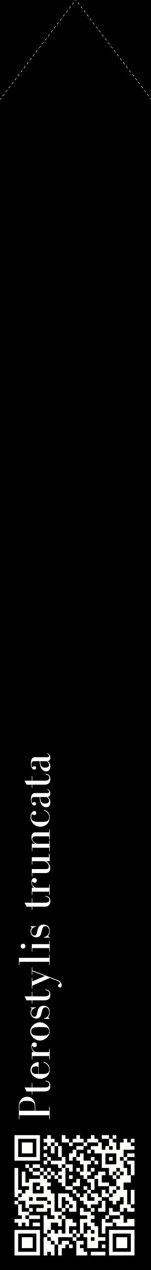Étiquette de : Pterostylis truncata - format c - style blanche59_simplebod avec qrcode et comestibilité
