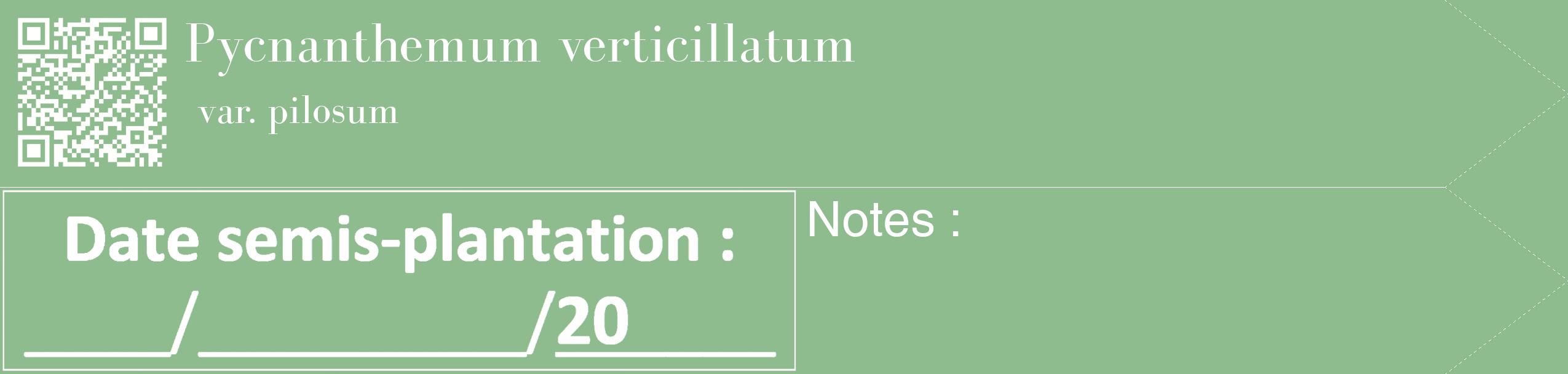Étiquette de : Pycnanthemum verticillatum var. pilosum - format c - style blanche13_simple_simplebod avec qrcode et comestibilité