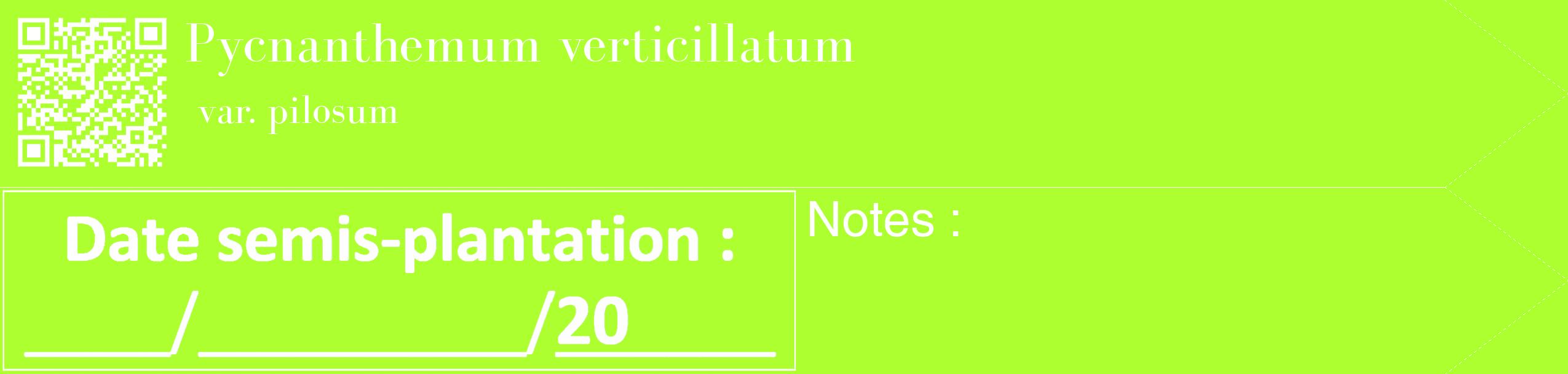 Étiquette de : Pycnanthemum verticillatum var. pilosum - format c - style blanche17_simple_simplebod avec qrcode et comestibilité