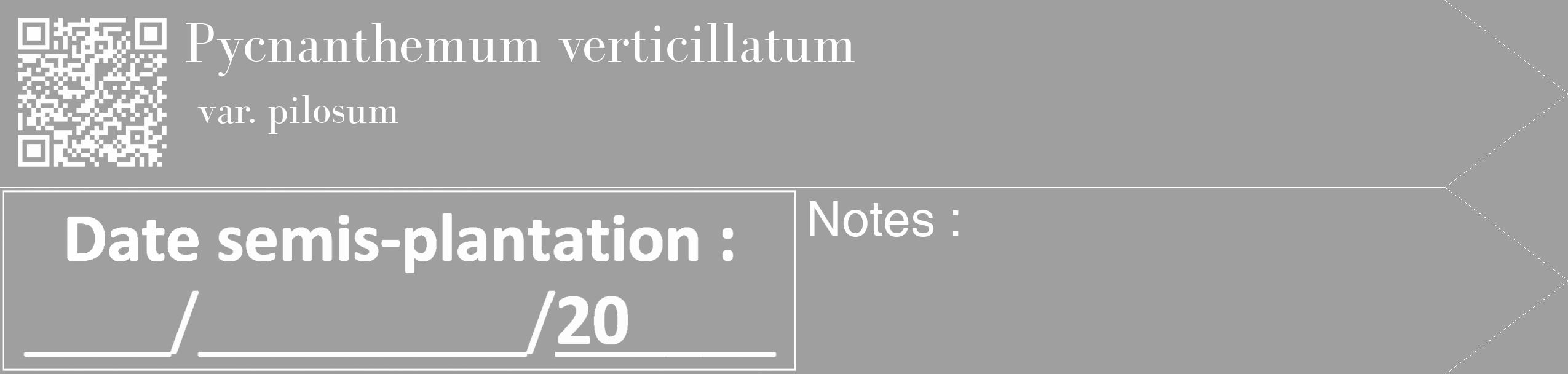 Étiquette de : Pycnanthemum verticillatum var. pilosum - format c - style blanche24_simple_simplebod avec qrcode et comestibilité