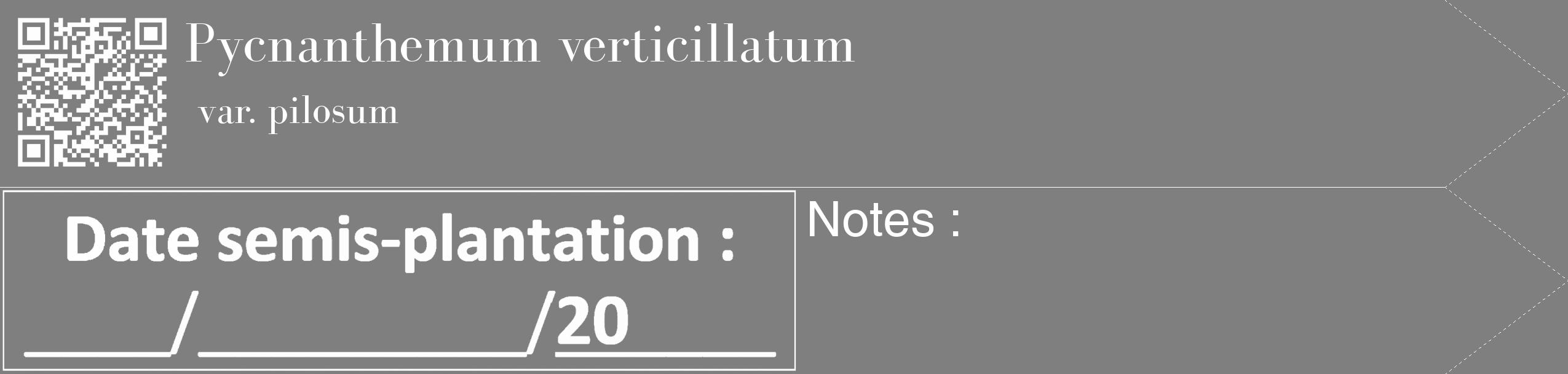 Étiquette de : Pycnanthemum verticillatum var. pilosum - format c - style blanche31_simple_simplebod avec qrcode et comestibilité