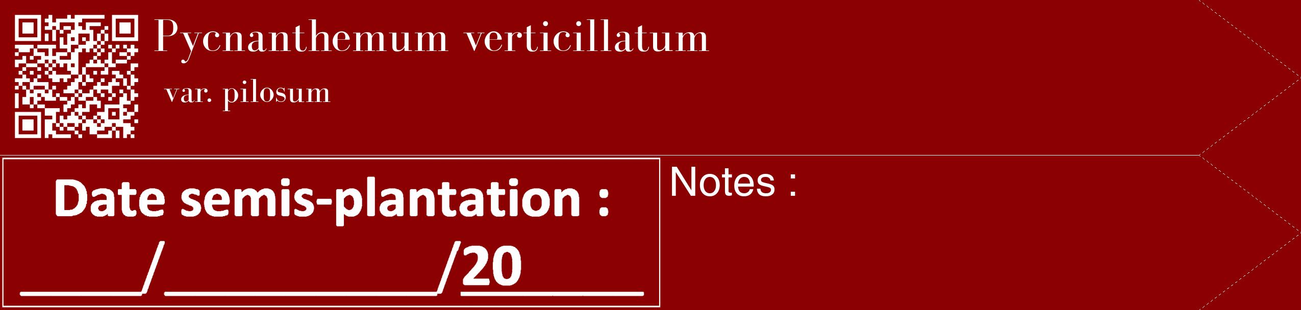 Étiquette de : Pycnanthemum verticillatum var. pilosum - format c - style blanche34_simple_simplebod avec qrcode et comestibilité