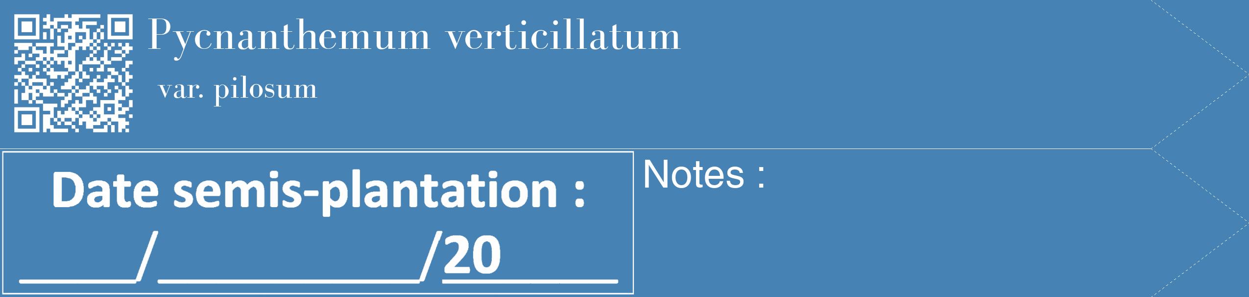 Étiquette de : Pycnanthemum verticillatum var. pilosum - format c - style blanche5_simple_simplebod avec qrcode et comestibilité