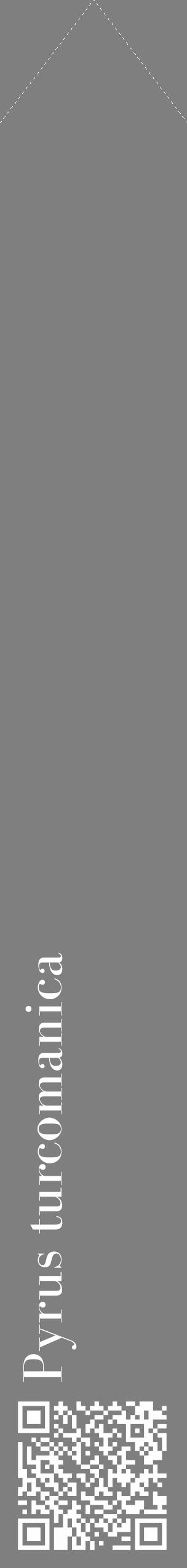 Étiquette de : Pyrus turcomanica - format c - style blanche31_simple_simplebod avec qrcode et comestibilité - position verticale