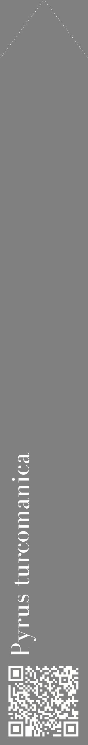 Étiquette de : Pyrus turcomanica - format c - style blanche57_simplebod avec qrcode et comestibilité
