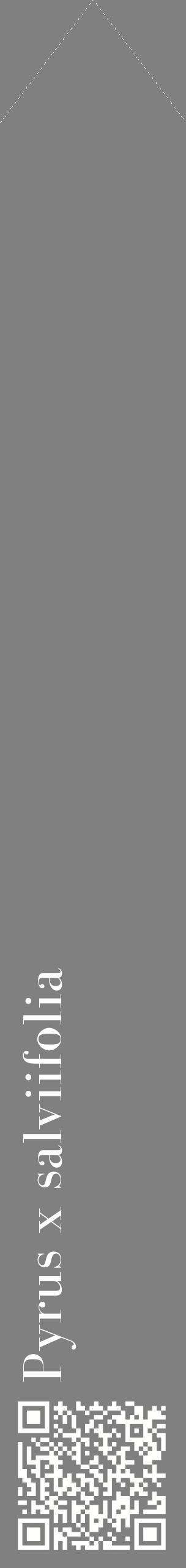 Étiquette de : Pyrus x salviifolia - format c - style blanche57_simplebod avec qrcode et comestibilité