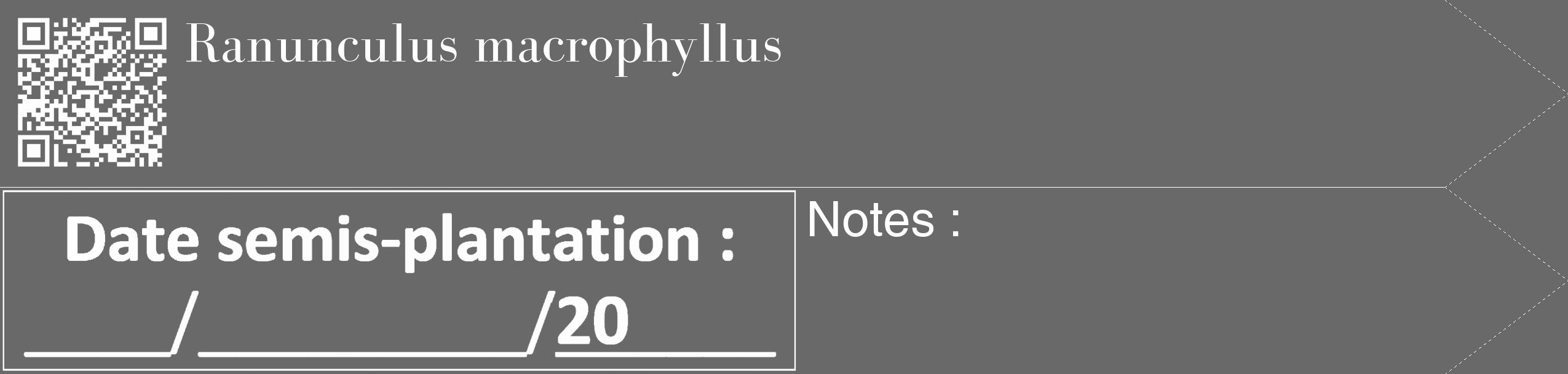 Étiquette de : Ranunculus macrophyllus - format c - style blanche11_simple_simplebod avec qrcode et comestibilité