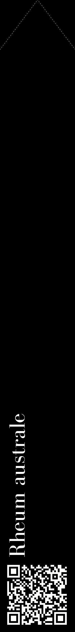 Étiquette de : Rheum australe - format c - style blanche59_simplebod avec qrcode et comestibilité