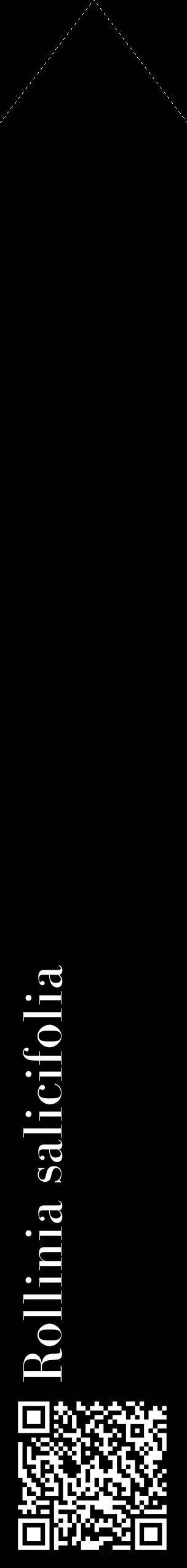 Étiquette de : Rollinia salicifolia - format c - style blanche59_simplebod avec qrcode et comestibilité