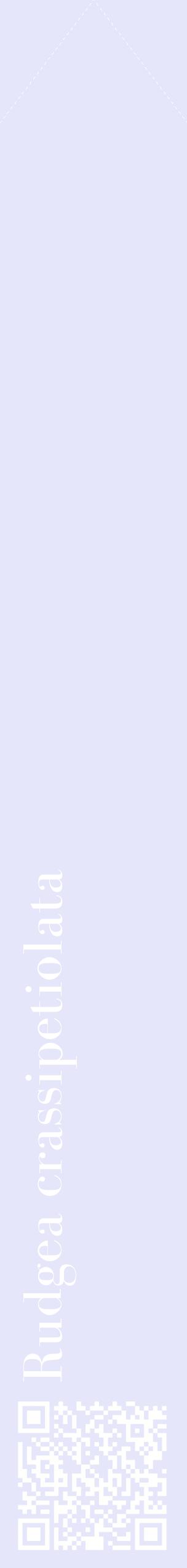 Étiquette de : Rudgea crassipetiolata - format c - style blanche55_simplebod avec qrcode et comestibilité
