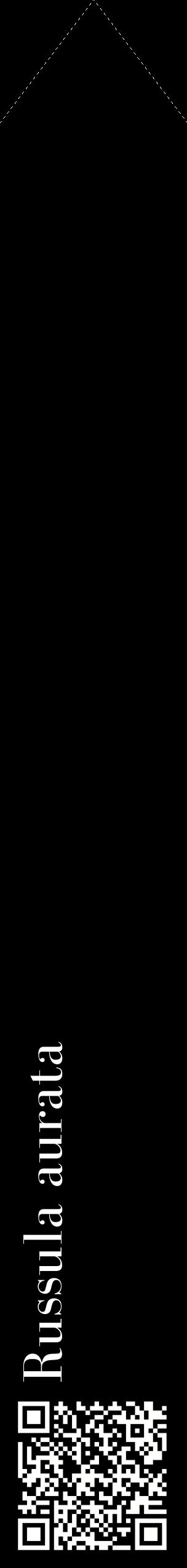 Étiquette de : Russula aurata - format c - style blanche59_simplebod avec qrcode et comestibilité