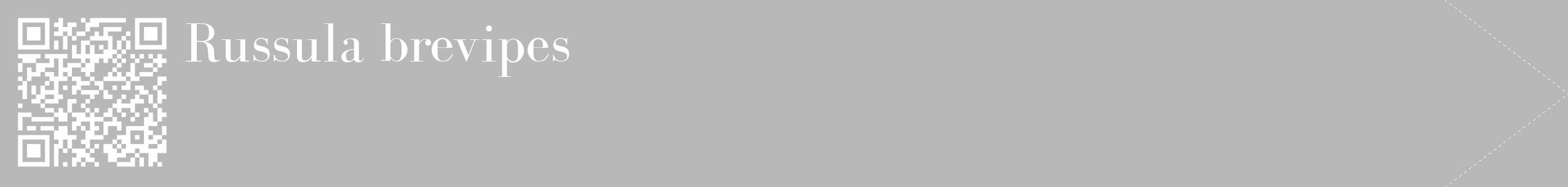 Étiquette de : Russula brevipes - format c - style blanche39_simple_simplebod avec qrcode et comestibilité