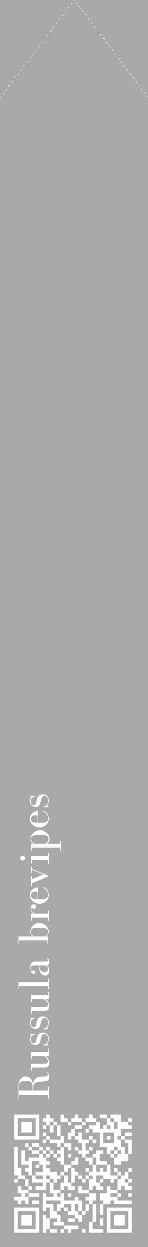 Étiquette de : Russula brevipes - format c - style blanche13_simple_simplebod avec qrcode et comestibilité - position verticale