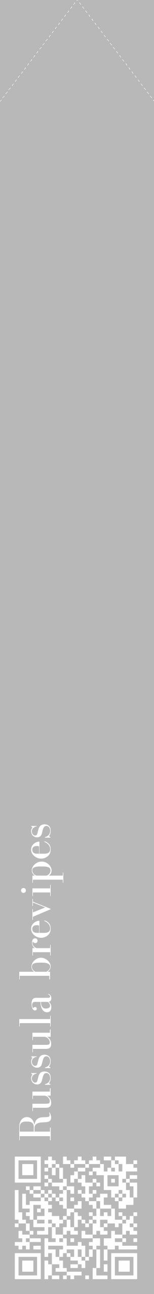Étiquette de : Russula brevipes - format c - style blanche39_simple_simplebod avec qrcode et comestibilité - position verticale