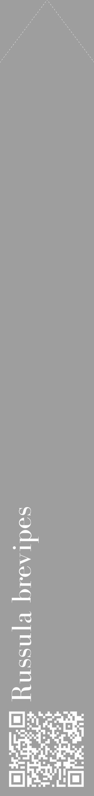 Étiquette de : Russula brevipes - format c - style blanche42_simple_simplebod avec qrcode et comestibilité - position verticale